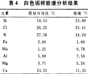 生物質鍋爐 生物質鍋爐